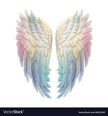 Angels wings pastel rainbow clipart feather Vector Image