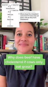 Does Beef Broth Effect Cholesterol