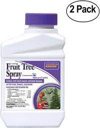 Keeps insects from attacking new fruit, prevents brown rot and blights. Bonide Products 202 Fruit Tree Spray 16 Ounce Pack Of 2 Walmart Com Walmart Com