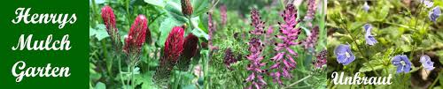 Weidenwasser Henry S Mulch Garten Www Mulchgarten De