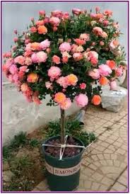 Le piante con fiori rosa ispirano allegria e serenità. 28 Adorable Flower Garden Ideas For Your Home 00020 Poserforum Giardinaggio Idee Giardino Orto Giardino Verde