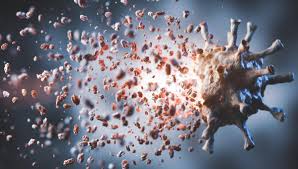 El virus marburg o marburgo es de la misma familia del virus del ébola y provoca una enfermedad muy contagiosa que se transmite a los seres humanos a través de los murciélagos que comen fruta y se propaga entre las personas mediante el contacto directo con los fluidos corporales de los pacientes, o con superficies y materiales infectados. 1gcywdwra Hqxm