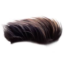 Visit To Download Hair Png Blur Background In Photoshop Dslr Background Images