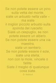 Pin Su Orientamento Scolastico