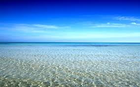 Ini dia 3 pemandangan bawah air paling menakjubkan di dunia 29 pemandangan pantai asli di 2020 pemandangan fotografi pantai lanskap Wallpaper Sinar Matahari Pemandangan Laut Teluk Pantai Pasir Langit Fotografi Biru Horison Tanjung Awan Lautan Gelombang Badan Air Ombak 1920x1200 Mxdp1 82548 Hd Wallpapers Wallhere