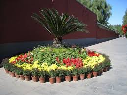 Image result for Ditan