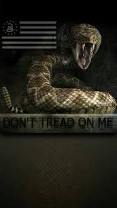American confederate flag waving video download.usa civil war white house flag 1080p f. Dont Tread On Me