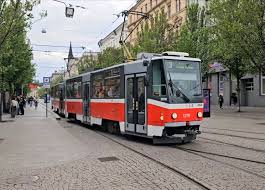 Image result for Elfenbein 1995 Fleet