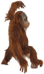 Each image starts from as low as 540. Download Baby Orangutan Png Full Size Png Image Pngkit