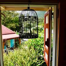 Vue De La Terrasse Picture Of Les Jardins D Heva Salazie Tripadvisor