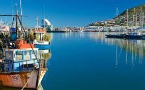 Fish market houtbay pictures : Visit Hout Bay Beach In Cape Town Expedia