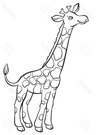 Giraffe drawing coloring page giraffe africa, giraffe, illustration giraffe cartoon black and white african safari sketch giraffe pencil continuous line animal drawings giraffe skecth giraffe colouring in. Giraffe Drawing Pictures Cute Giraffe Drawing Very Easy How Giraffe Tekening Giraffe Dieren