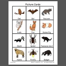 Nocturnal animal books for kids! Nocturnal Animals