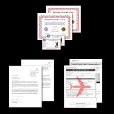 Online Evaluation Service Dog And Emotional Support Animal Registration