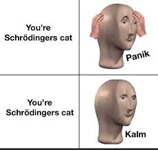 The copenhagen interpretation of quantum mechanics implies that after a while, the. Schrodinger Cat Antimeme