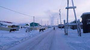 Suhu di dalam kulkas sebelum dihidupkan 28 derajat celcius. Potret Desa Paling Dingin Di Muka Bumi