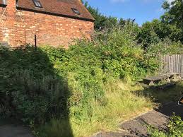 We did not find results for: Brambles Garden Tidy Up Tidy Gardens For All Your Garden Needs