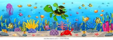 Aquatic Animal Images Stock Photos Vectors Shutterstock