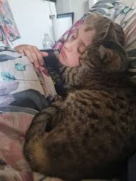 Opal is still missing without sightings! Please if you have her hand her  over!!