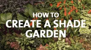 The blossoms are especially fragrant in the evenings and carry heavenly scents into the home. How To Grow A Shade Garden Palmers Garden Centre