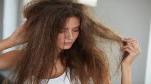 This also helps to protect the hair. Dry Hair Effective Home Care Tips From Shahnaz Husain Thehealthsite Com