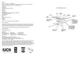 Image result for Antherotoma tenuis