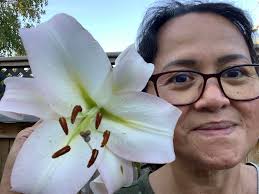 Lilies are such a perfect flower ❣️