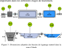Lagunage —  lagynaʒ  n. Pdf Optimisation Du Dimensionnement Des Bassins D Epuration Par Lagunage Naturel Dans La Region De La Chaouia Ouardigha Maroc Semantic Scholar