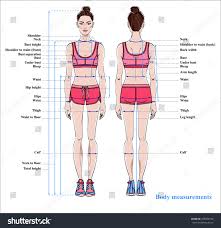 Woman Body Measurement Chart Scheme Measurement Stock Vector