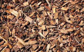 Bark Chips Fresh Wood Chippings Or Composted Bark Garden Mulch Does It Steal Nitrogen Gardenshrubsmulches Garden Shrubs Clay Soil Plants Cool Plants