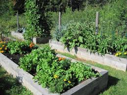 There is a certain joy when the stars align in the garden. Organic Gardening Basics How To Start An Organic Garden Old Farmer S Almanac