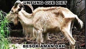21 Gambar Lucu Tentang Kurban Idul Adha Kata Lucu Qurban Cikimm Com 10 Meme Kocak Sambut Idul Adha 2019 Gokil Dan Bikin Ngakak Kocak Dan Kr Di 2020 Lucu Meme Hewan
