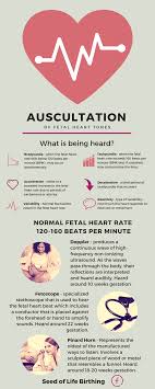 Fetal heart rate can offer important clues about your developing baby's health. Auscultation Of Fetal Heart Tones Heart Tone Fetal Fetal Heart Rate