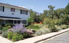 96(l) x 24(w) x 10(h) new (6) from $84.99 & free shipping Landscaping For Water Conservation Department Of Energy