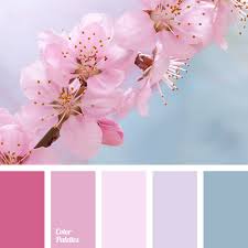 We did not find results for: Bright Magenta Color Palette Ideas