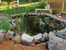 Redearslider Com View Topic Our Outdoor Pond Outdoor Ponds Turtle Habitat Turtle Pond