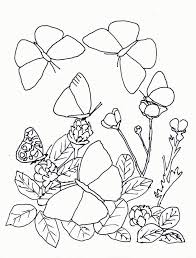 See more ideas about desene, pagini de colorat cu flori, doodle patterns. Planse De Colorat Animale Fluturasi De Colorat P46 Desene De Colorat Animale Fluturasi De Colorat P46