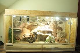 Setting up a nice bearded dragon enclosure requires you to consider factors like size, temperature, decorations and many more. My Bearded Dragon Enclosure Chameleon Forums