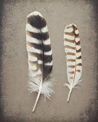 This Item Is Unavailable Etsy Grey Wall Art Feather Art Feather Photography