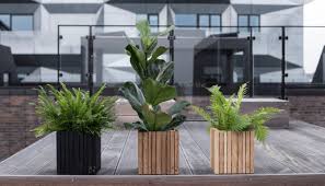 Fioriere da interno per un giardino dai tratti geometrici e ordinato grazie alla loro praticità. Vasi E Fioriere Da Esterni Di Design Ville E Giardini