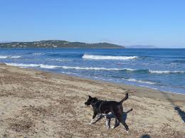 We did not find results for: St Tropez Ruhig Und Beschaulich Im Winter Urlaubstipps Mit Hund