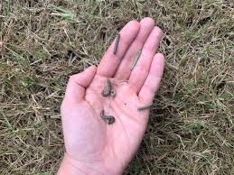 Oklahoma Farm Report