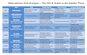 Review Of The Stages Of Gait At The Hip Knee And Ankle