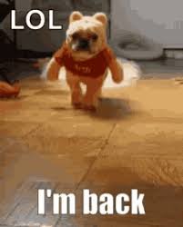 Gifs, throw gifs, and read gifs. I Am Legend Zombie Dog Gifs Tenor
