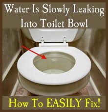 Water Is Slowly Leaking Into Toilet Bowl How To Fix Leaking Toilet Toilet Bowl Toilet