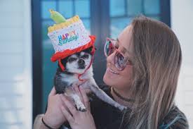 — jenna marbles (@jenna_marbles) september 9, 2018. Youtuber Jenna Marbles Wiki Net Worth Dog Boyfriend Julien Solomita