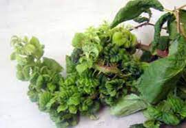 We did not find results for: Raspberries Leaves Are Curled Rolled Or Crinkled