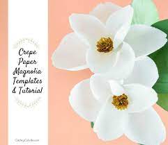 Diy Crepe Paper Magnolia Flowers Crepe Flower Templates Paper Flowers Paper Flower Printable Templates Flower Template