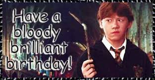 Harry potter and the deathly hallows: 30 Funniest Harry Potter Birthday Meme For Potterheads