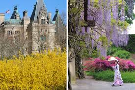 Highlighting the day are the grand easter egg hunts. Biltmore Blooms Spring Flowers Guide